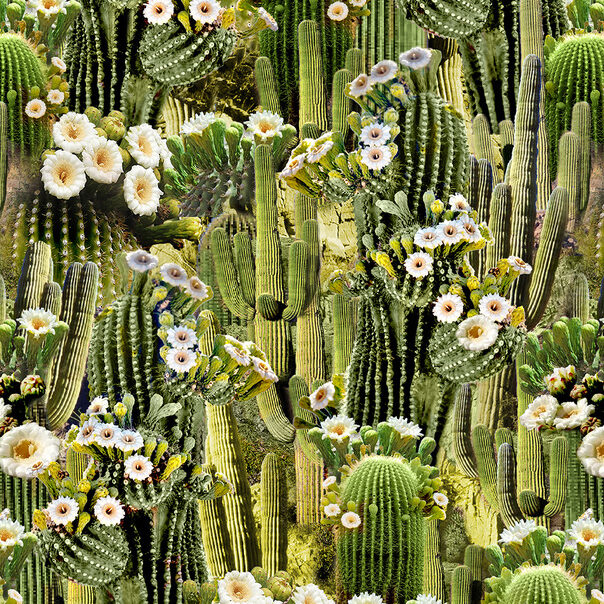 WEST-CD3345 CACTUS (1)